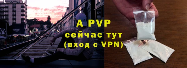 мяу мяу мука Михайловск
