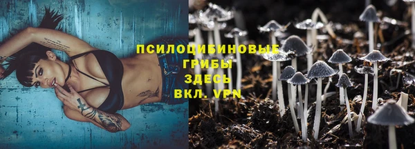 соль курить ск Михайлов