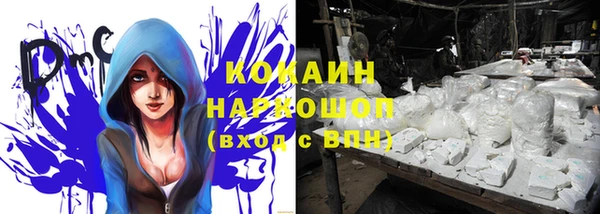 спиды Удомля