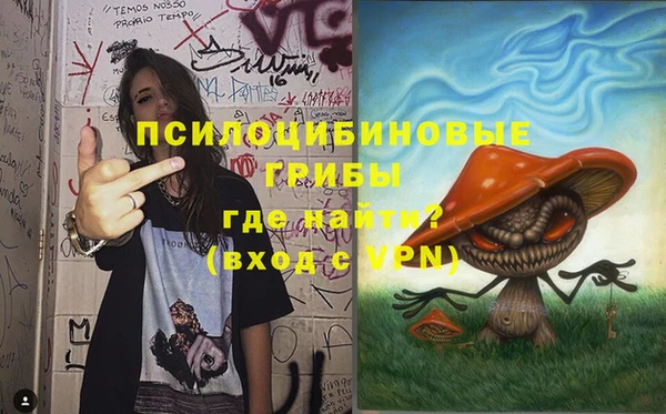 стафф Гусев