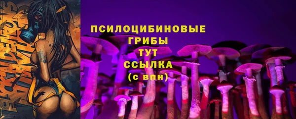 мяу мяу мука Михайловск