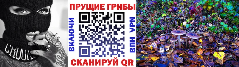 Псилоцибиновые грибы Cubensis Мышкин